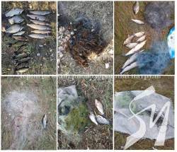 �������� 58 �� ��������� ������ ���� �� 47 ����������� ������� ����