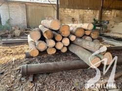 ͳ������� ������ ���������� ��������� �� ��������� ��������� ������� ���