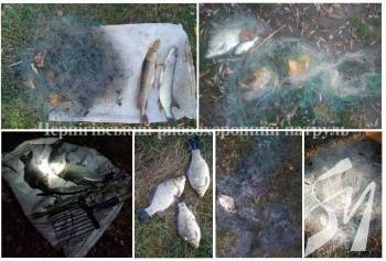 ������������� ������� ����� �� 16 ������������� �� �������