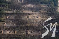 � ������ �������� ���, ��� ������������� ������ �� ������� ���������