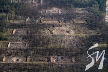 � ������ �������� ���, ��� ������������� ������ �� ������� ���������