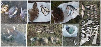 ������������� ������� ������� 68 �� ���� �� 25 ���� �� �������