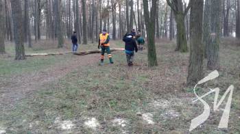 � ��� �������� ��������� �������� �������� �����