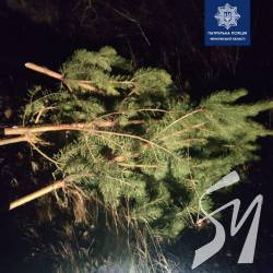 ���� ����� ����� ������ ��������� ��������� ������ ������