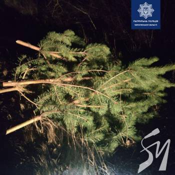 ���� ����� ����� ������ ��������� ��������� ������ ������