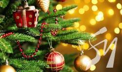 �������� ���/��� �� �� ����� ���������� �� �������� ����� � ��������