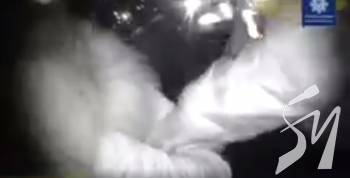 � �������� ��������� ����� � ����� 20-���� ������