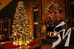 �������� ��������� ��������� ������ ��������� г����