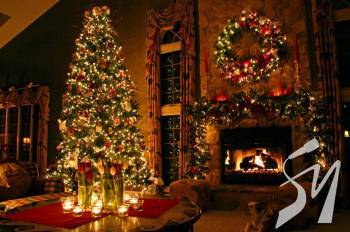 �������� ��������� ��������� ������ ��������� г����