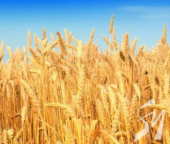 ������ ����������� ��� ����� ����������: � ������ ������ ��������� ������