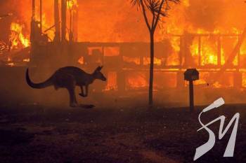 � ������������� ������ ������� �������� ����� ������ ������