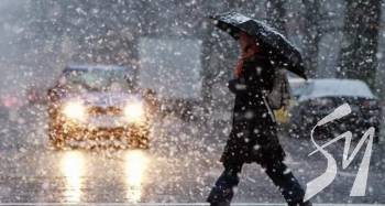 ������ ���� �� ��� � ������� �����: ��������� ��������, ���� ���� ������ 22 ����