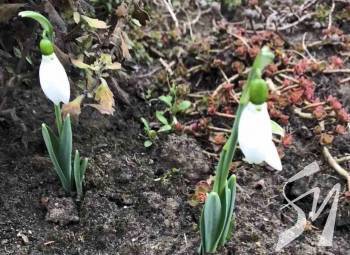 �� ����������� ����� ����� ���� ������ ����������