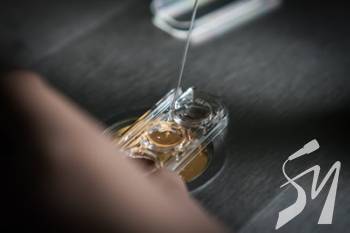 ������������������ �������������� � ����� �� �������� ���� � ��������� �������� �����������