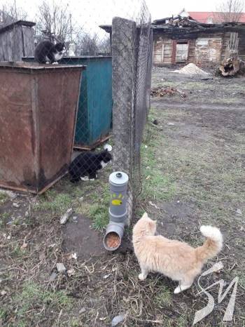 � ����� ������� ��� ��������� ������ �������� ��������� 