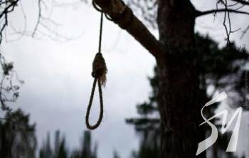 �� ����������� ������� �������� 5-������ ��������