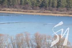 �� ����������� ��� �������� �����-������