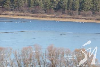 �� ����������� ��� �������� �����-������