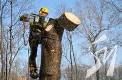 �� ���������� ������� ��������� � �������� ����������� ��������� ���