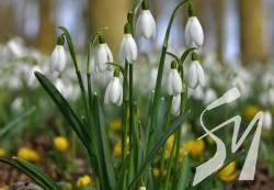 � �������� ��������: �� �������� �� ������ ��������� � �����