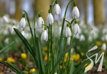 � �������� ��������: �� �������� �� ������ ��������� � �����