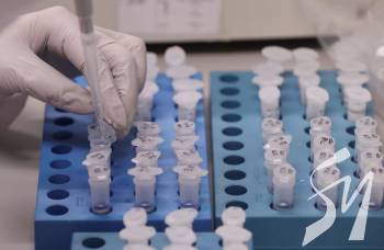 ����� ����� �� ��������� ����������� �������� � ������ 10 ������� - ���  