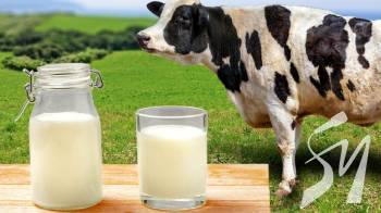 ϳ��������� ����������� ���������� � 2019 ���� 225 ����� ���� ������