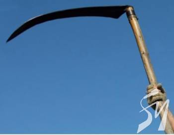 ������, ���� ����� ������� ��������� ���� �� ����� �� 8 ����