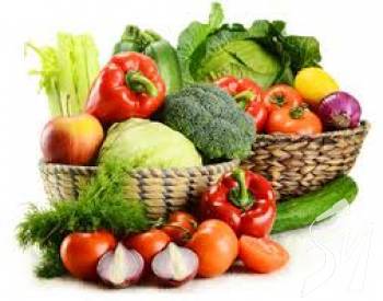 �� ������ ������ ������ ������