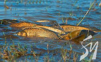 � 25 ������� ������ ���� ��������� ��� ��������, ���'����� � ��������