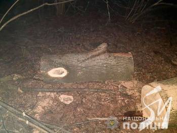 � ������������� ������ ������ ��������� ��������� ��������