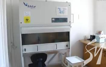 ���������� � ��������� ����������� ����������� � ��������. ²���