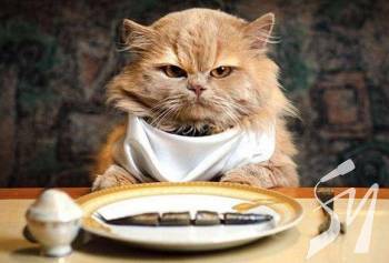 �� ��� �� ������ ����� ��� ���� ��� �����