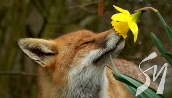 1 ����� ������������� ����� ���� � ������: �� ����� �����