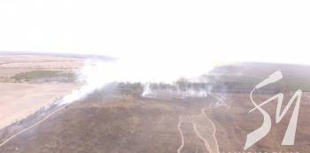 ������ � ���� �� ����: ����������� ������� ��������� ������ � ������������� ����. ²���