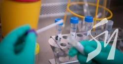 ³     COVID-19  ,   , - 