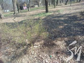 �������� � ���� ������: ������� ����� ����� ��� ������� ��� � �����