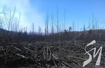 �������� ������ �� ���� ��������� �� ����� ��������� �� ���� � �������� ����������������  