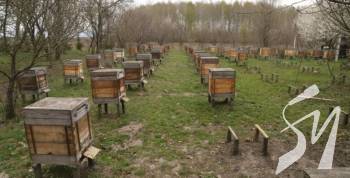 �� ����������� ����������� ������� ��� ����