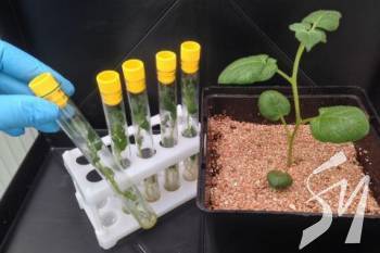 ����������� �������� � ������� � ����� � ������