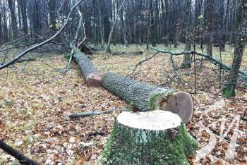 �� ��������� ������� ����� ������ ����������� ��������� 200 ����� �������