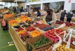 ����� �����, �� ����� �������� �� �����������