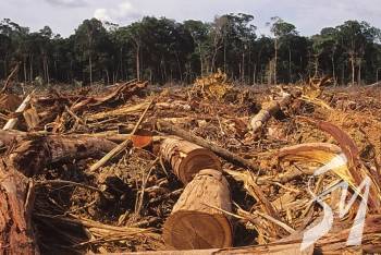 ������ ������ ������� � ����������� ���������� �� ����