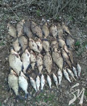 �� ����� ��������� ����������