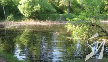 ������� ����� �����, � ����� ����� 1000 ���� ���� �������� ����������