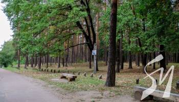 ������������ ����������� ���� ������� ���������� �� ����� 900 �����