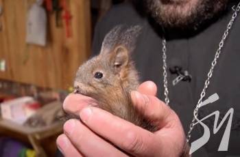 �� ����������� ���������� ����� ������� ���� ������, ��� ���������� �� �������� ������. ²���