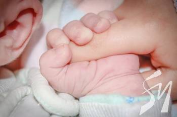 ��������� ����������� � ������: ��� ���������� ������ ���������� �������������� �� ���������  