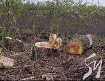 � ������������� ������ ������ ����� ��������� ������� 663 ������