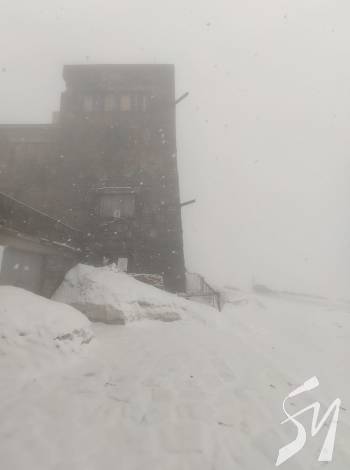 �������� ������� ������ ������ 